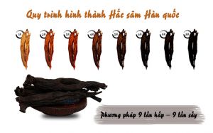 Sản phẩm Hồng Sâm Hàn Quốc và Hắc Sâm Hàn Quốc khác nhau như thế nào?