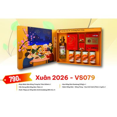 Quà Tặng Quà Biếu Hồng Sâm Tết 2026 - VS079