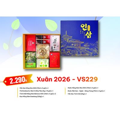 Quà Tặng Quà Biếu Hồng Sâm Tết 2026 - VS229