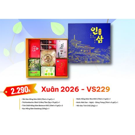 Quà Tặng Quà Biếu Hồng Sâm Tết 2026 - VS229